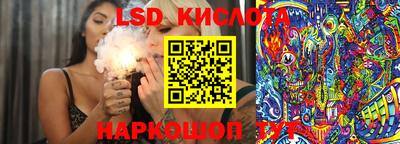 прущие крисы Гусев