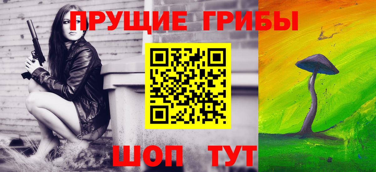 Кашира  Галлюциногенные грибы Magic Shrooms  Вход с VPN 